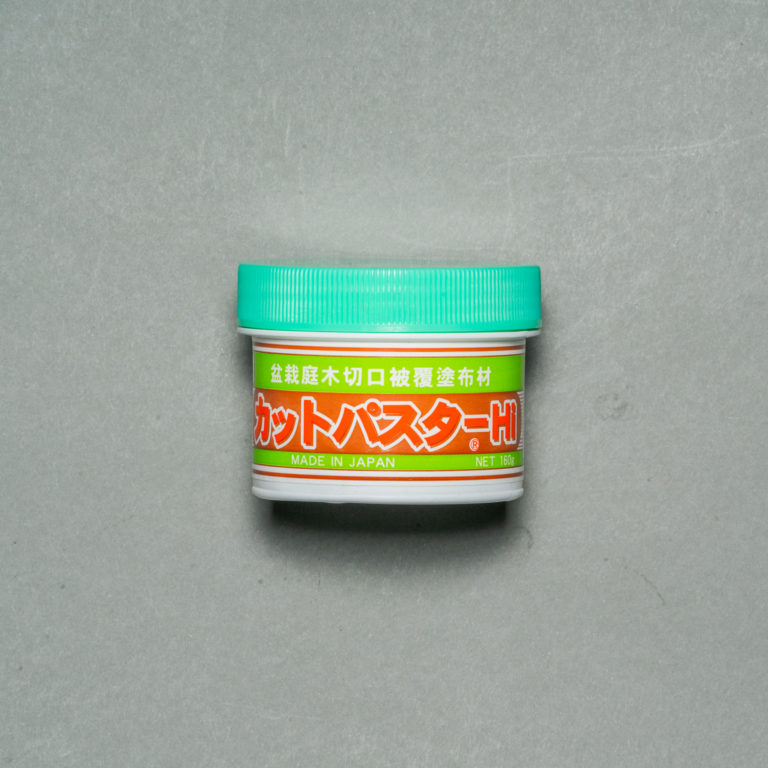 Cut Putty Conifer 160g