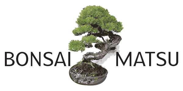 Bonsai Matsu Logo