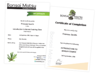 Bonsai Certificate