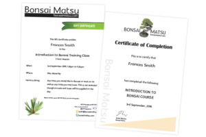 Bonsai Certificate